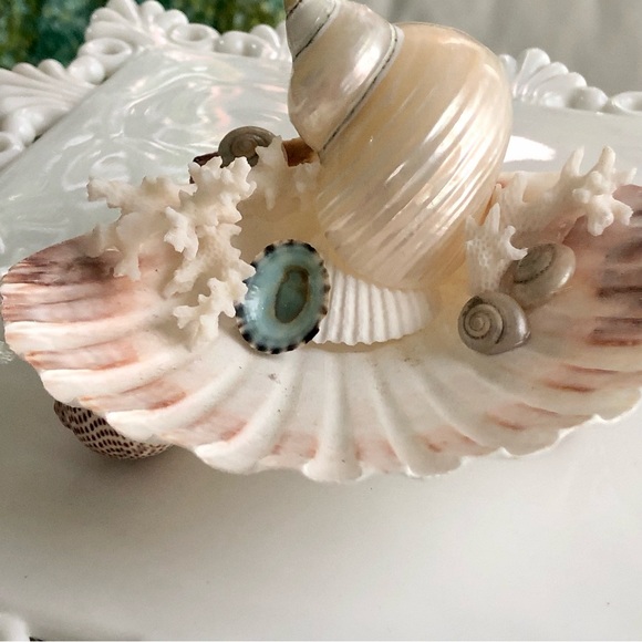 Just In! NEW Scallop Seashell Ring Holder - Picture 2 of 5